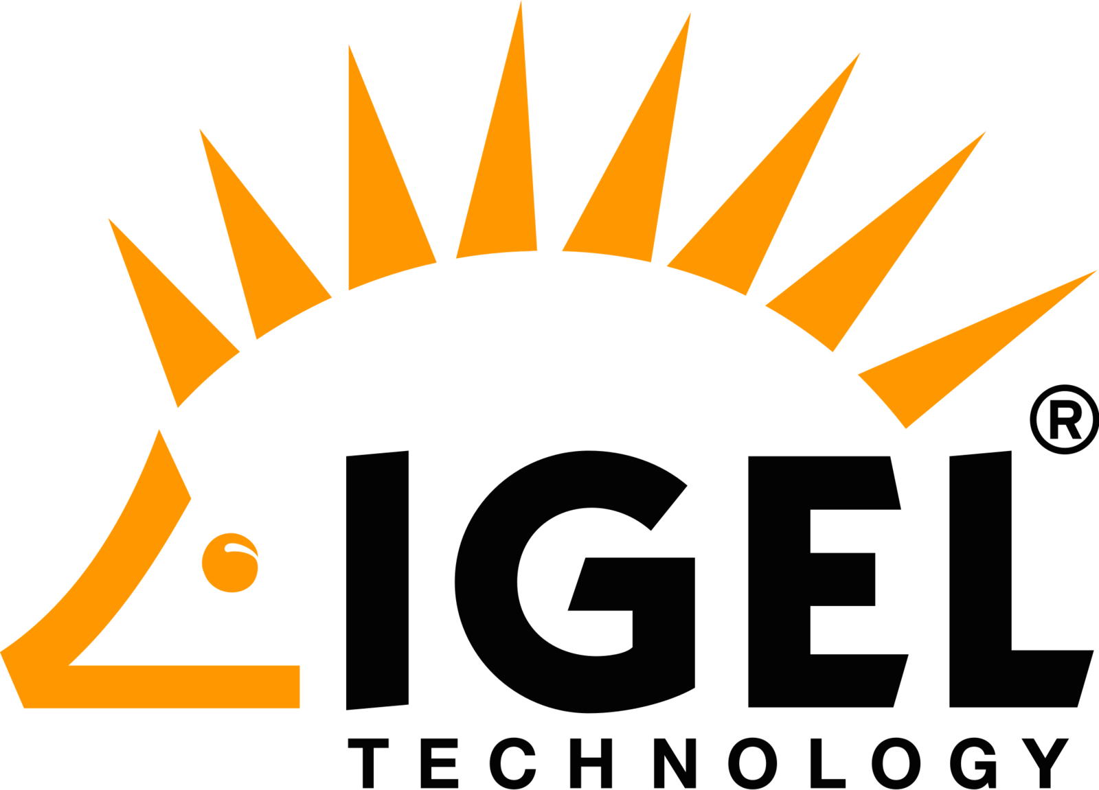 Igel Technology